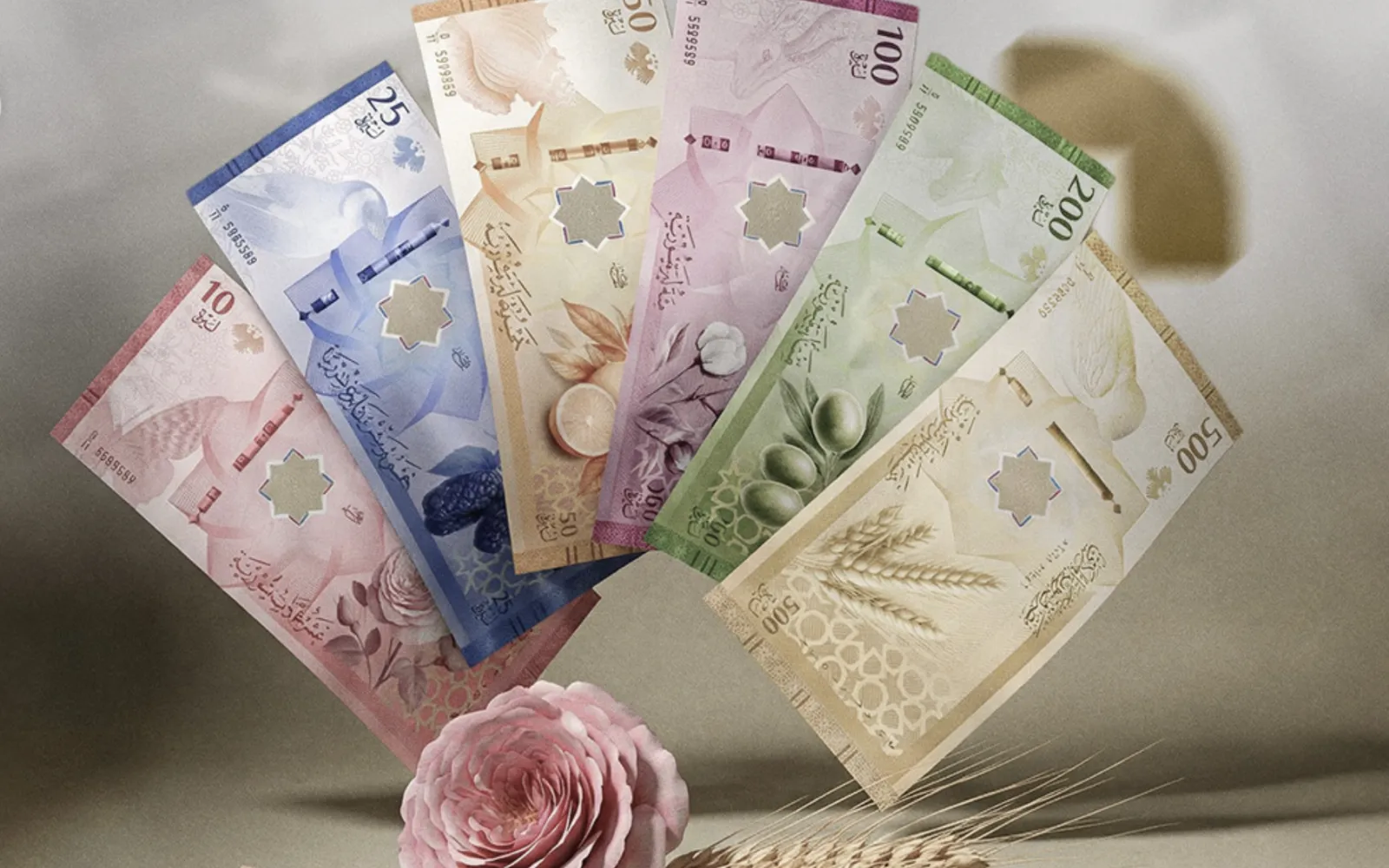وزير المالية يصدر التعليمات التنفيذية للمرسوم "68" بشأن الزيادات النوعية للرواتب